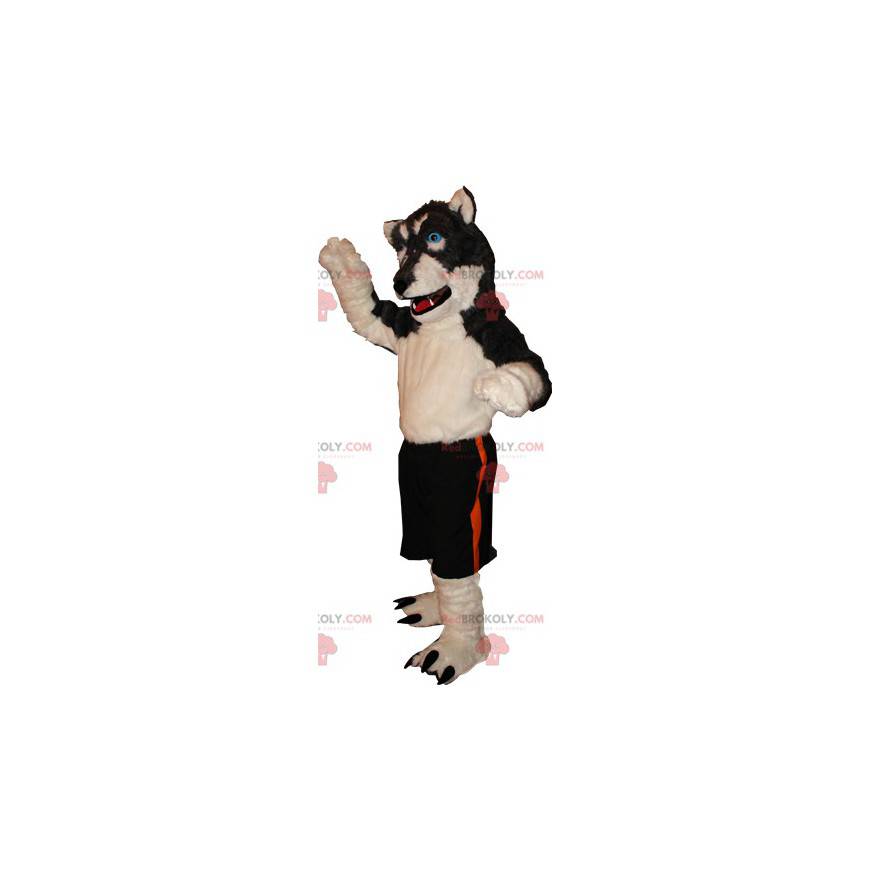 Miękki i włochaty beżowo-czarny pies maskotka wilk -