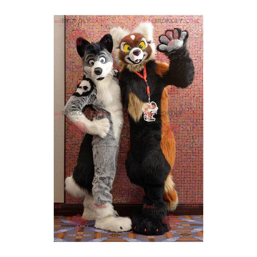 2 Maskottchen von weichen und haarigen Hunden - Redbrokoly.com 2 Maskottchen von weichen und haarigen Hunden - Redbrokoly.com