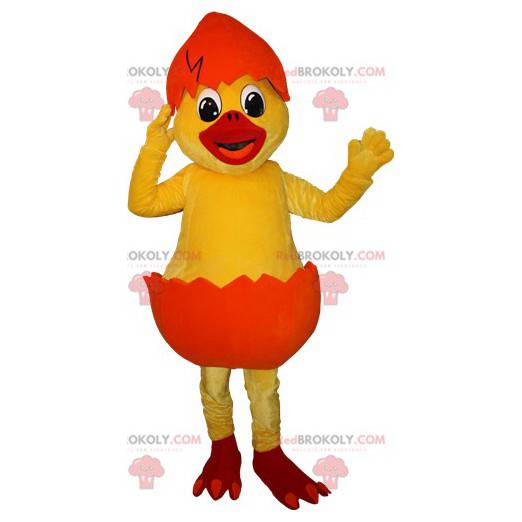 Mascot yellow chick in an orange shell - Redbrokoly.com