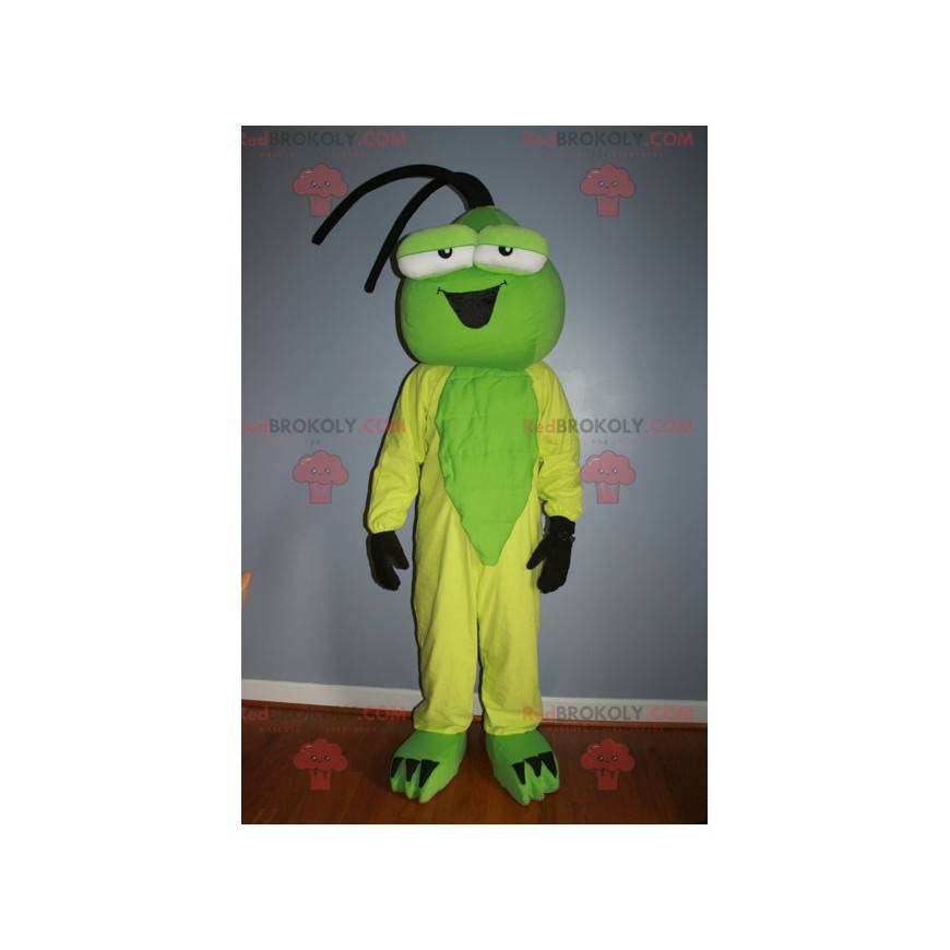 Mascotte d'insecte vert et jaune - Redbrokoly.com