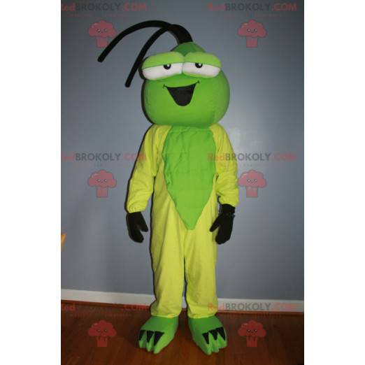 Mascotte d'insecte vert et jaune - Redbrokoly.com