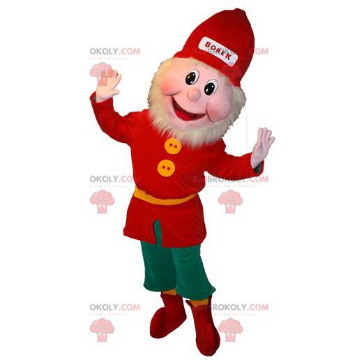 Bearded leprechaun mascot dressed in red and green -