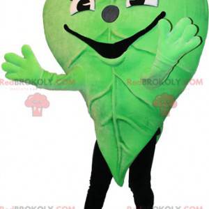 Mascotte de feuille verte. Mascotte de la nature -