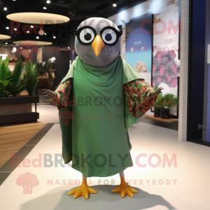 Olive Pigeon mascotte...