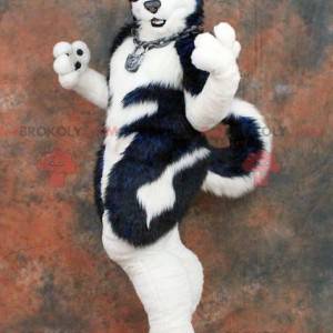 Mascota del perro blanco y negro - Redbrokoly.com