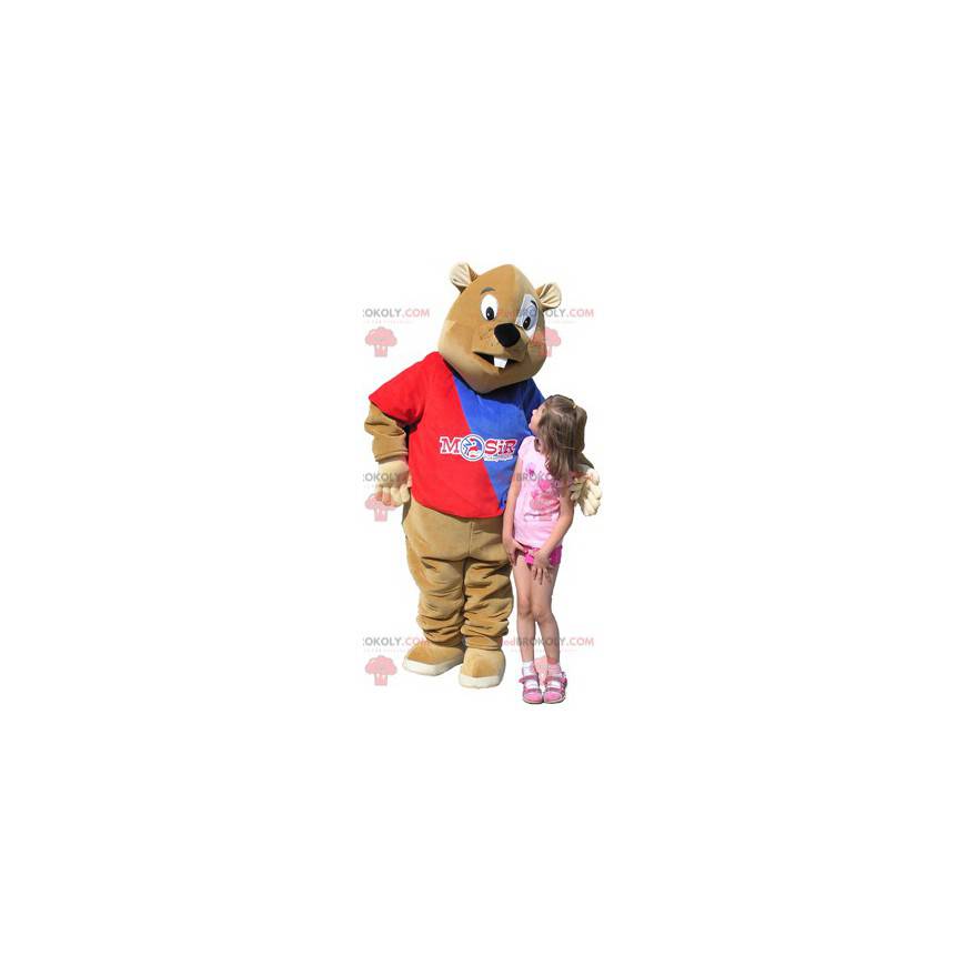 Braunes Bibermaskottchen mit einem blauen und roten Pullover -