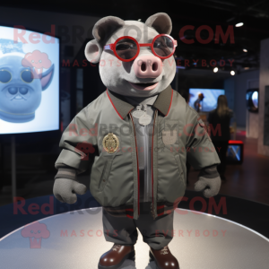 Silver Sow mascot costume character dressed with a Bomber Jacket and Eyeglasses