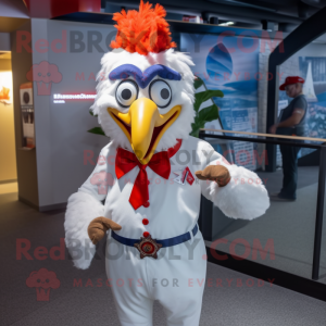  Roosters maskot kostume...