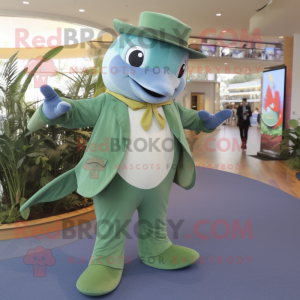 Olive Dolphin maskot drakt...