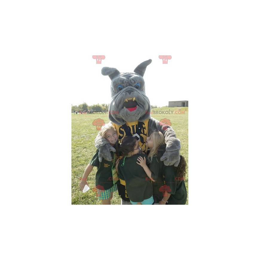 Gray bulldog mascot - Redbrokoly.com