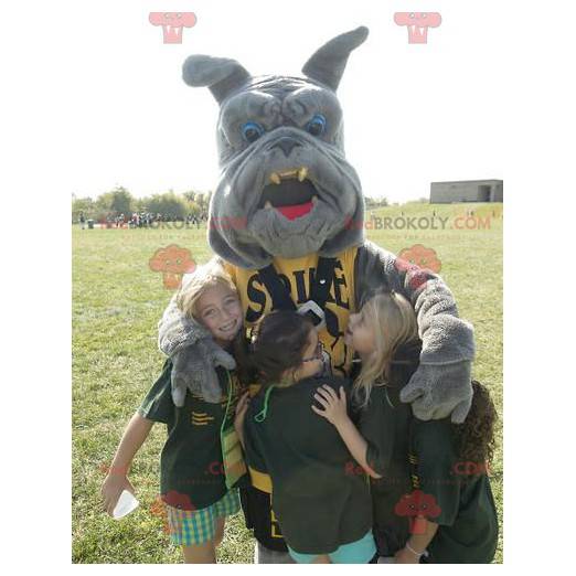 Gray bulldog mascot - Redbrokoly.com