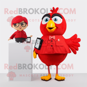 Red Canary maskot drakt...