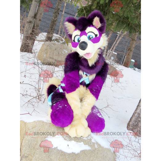 Mascota del perro morado y blanco - Redbrokoly.com