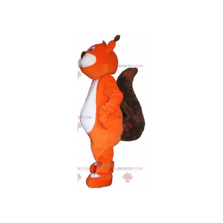 Mascote gigante esquilo laranja e marrom - Redbrokoly.com