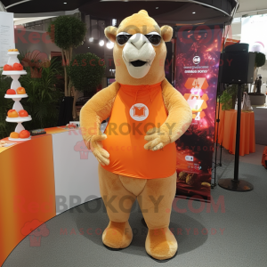 Orange Camel mascotte...