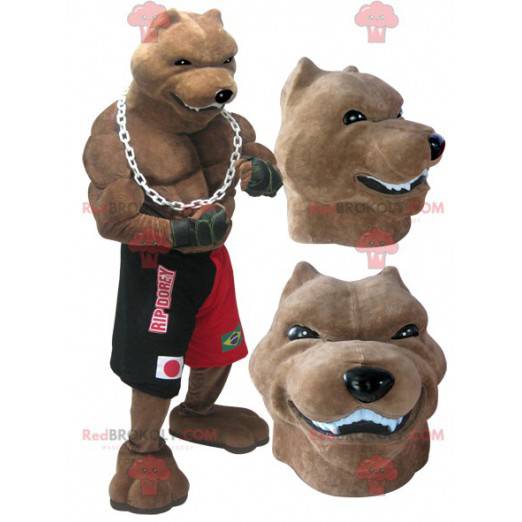 Mascotte de chien de race géant et musclé en tenue de boxeur -