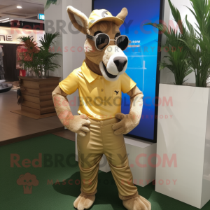 Gold Donkey mascotte...