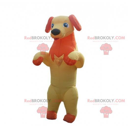 Mascota perro amarillo y naranja sacando la lengua -