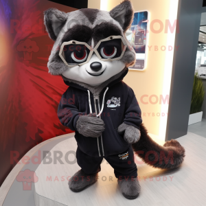 Black Raccoon mascotte...