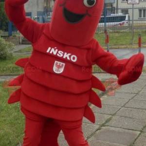 Lobster mascot. Giant crayfish mascot - Redbrokoly.com