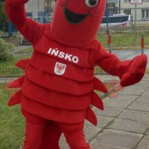 Mascote da lagosta. Mascote gigante do lagostim - Redbrokoly.com
