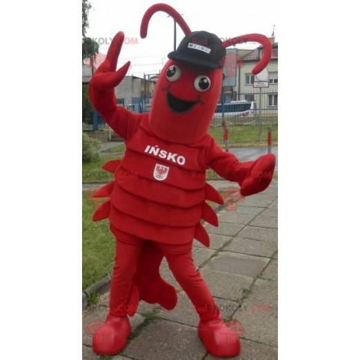 Mascotte de homard. Mascotte d'écrevisse géante - Redbrokoly.com