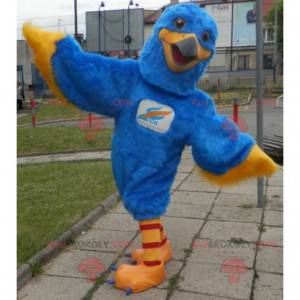 Blue and yellow eagle mascot. Colorful vulture mascot -