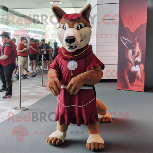 Maroon Dingo mascotte...