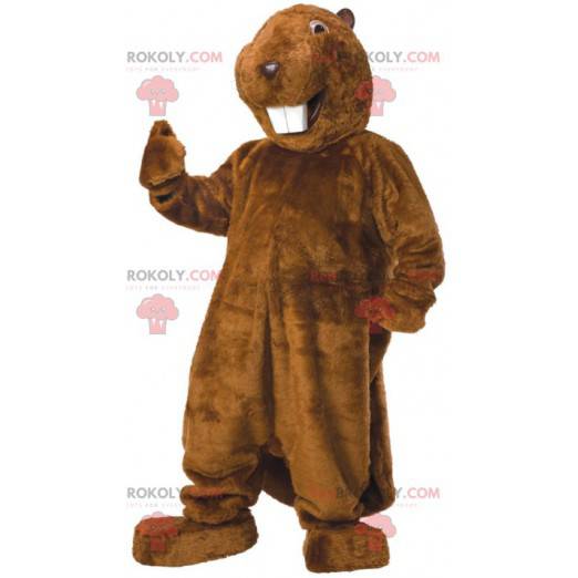 Mascotte castoro marrone con grandi denti - Redbrokoly.com