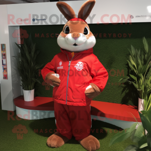 Red Wild Rabbit mascot costume character dressed with a Windbreaker and Lapel pins