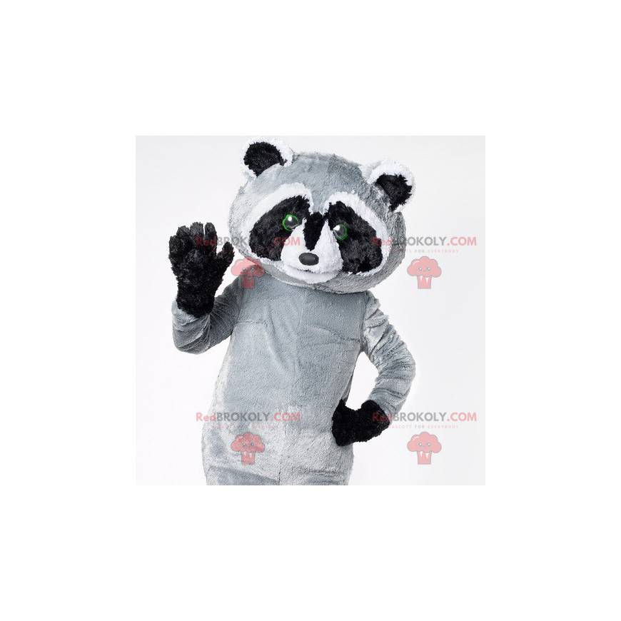 Kæmpe sort grå og hvid vaskebjørn maskot - Redbrokoly.com