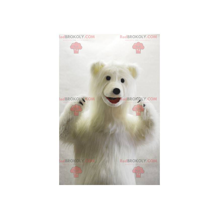 Mascote do urso polar muito peludo. Ursinho de pelúcia branco -