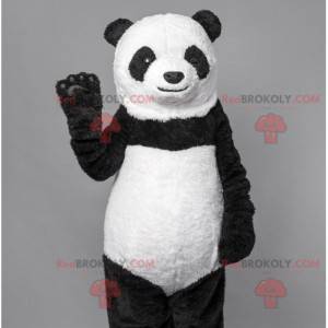 Black and white bear panda mascot. Bear costume - Redbrokoly.com