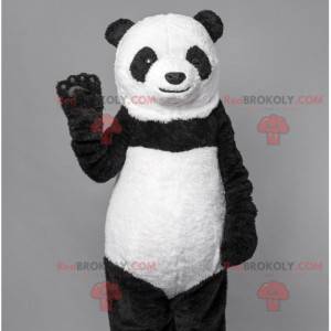 Mascotte del panda orso bianco e nero. Costume da orso -