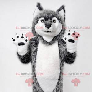 Mascotte de loup gris et blanc. Mascotte de chien-loup -