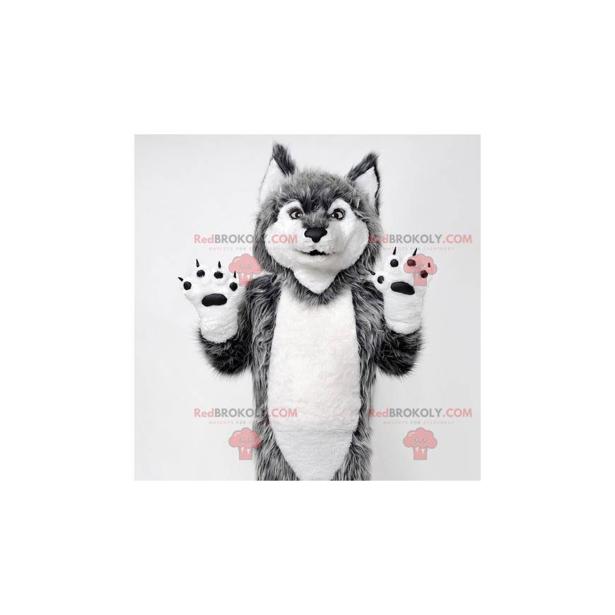 Grå og hvid ulvemaskot. Ulvhund maskot - Redbrokoly.com