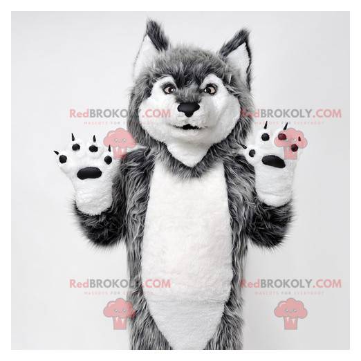 Mascote de lobo cinzento e branco. Mascote cachorro lobo -