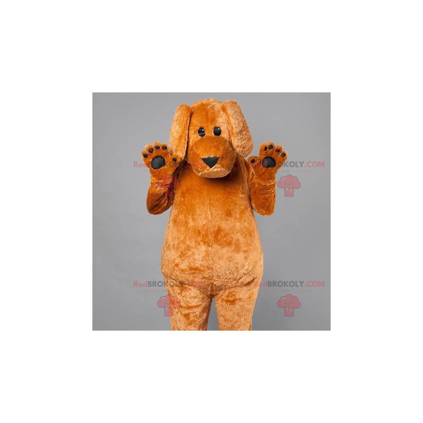 Mascota del perro marrón grande. Disfraz de perro -