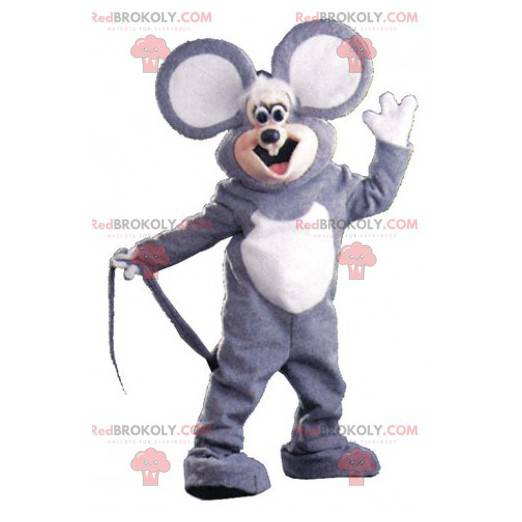 Mascota del ratón gris y blanco con orejas grandes -
