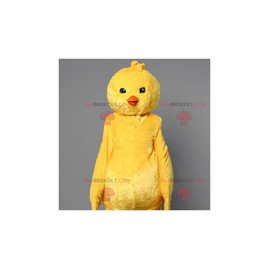 Gul chick maskot. Kanariefugl maskot - Redbrokoly.com