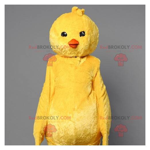 Mascote de pintinho amarelo. Mascote pássaro canário -