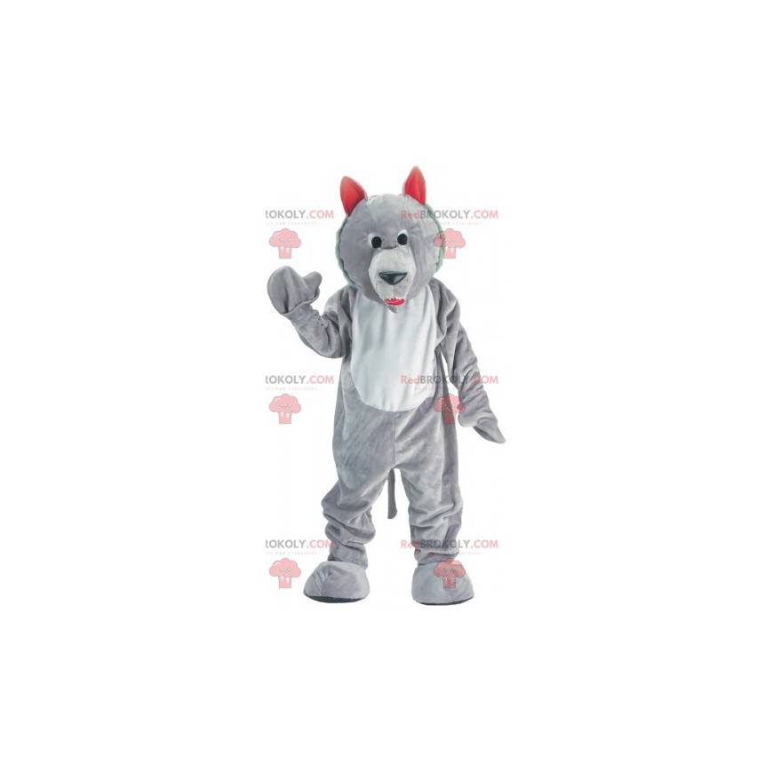 Mascotte grijze en witte wolf. Wolf hond mascotte -