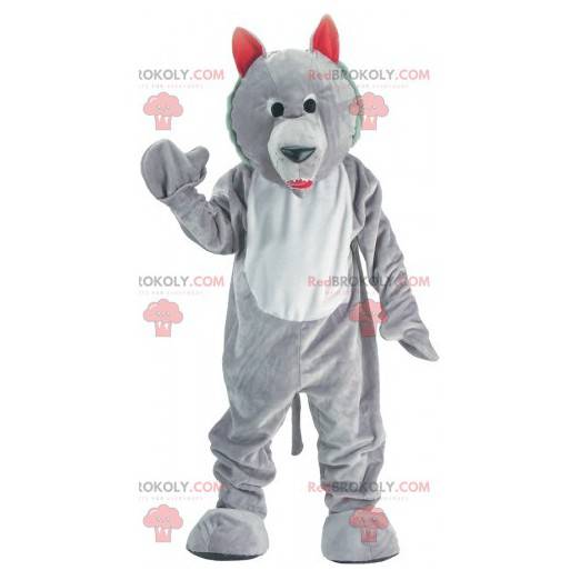 Mascote de lobo cinzento e branco. Mascote cachorro lobo -