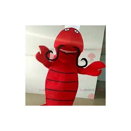 Mascotte di aragosta gigante con grandi baffi - Redbrokoly.com