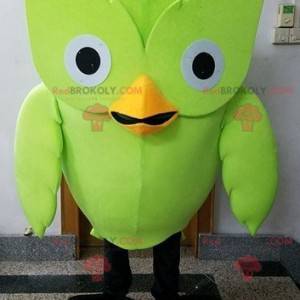 Mascote pássaro verde-coruja gigante - Redbrokoly.com