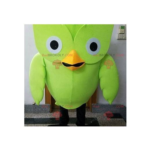 Mascote pássaro verde-coruja gigante - Redbrokoly.com