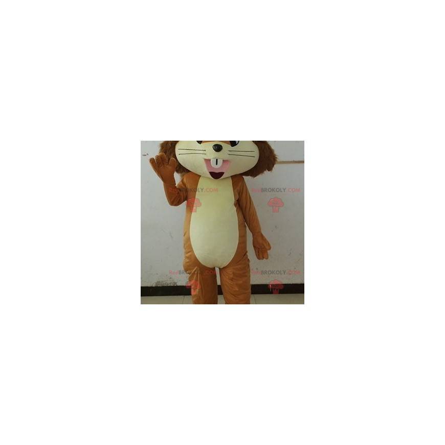 Very cute brown and beige squirrel mascot - Redbrokoly.com