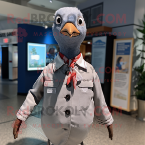 Grå Passenger Pigeon maskot...