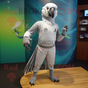 Silver Parrot mascotte...