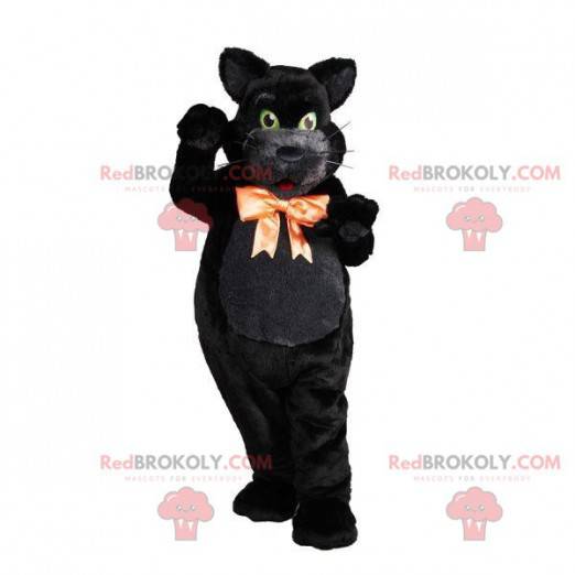 Silky black cat mascot with a pretty bow around the neck -